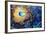 Eye Of The Universe-Megan Aroon Duncanson-Framed Art Print