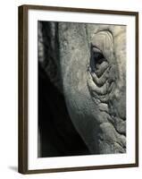 Eye of White Rhinoceros, Lake Nakuru National Park, Kenya-Paul Souders-Framed Photographic Print