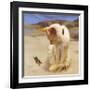 Eye on Butterfly V-Diane Hoeptner-Framed Art Print