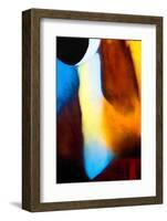 Eye See You-Ursula Abresch-Framed Photographic Print