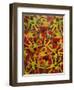 Eye See-Abstract Graffiti-Framed Premium Giclee Print