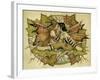 Eye to Eye-Linda Ravenscroft-Framed Giclee Print