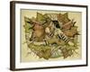 Eye to Eye-Linda Ravenscroft-Framed Giclee Print