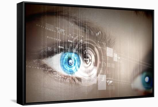 Eye Viewing Digital Information Represented By Circles And Signs-Sergey Nivens-Framed Stretched Canvas