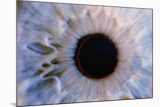 Eye-Martin Dohrn-Mounted Photographic Print