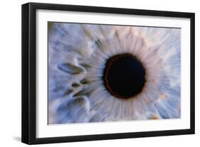 Eye-Martin Dohrn-Framed Photographic Print