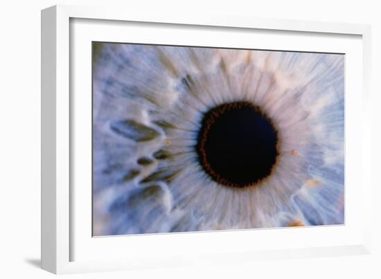 Eye-Martin Dohrn-Framed Photographic Print