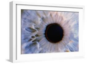 Eye-Martin Dohrn-Framed Photographic Print