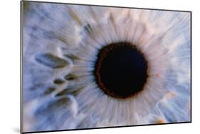 Eye-Martin Dohrn-Mounted Photographic Print