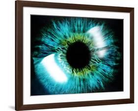 Eye-PASIEKA-Framed Photographic Print