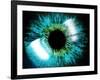 Eye-PASIEKA-Framed Photographic Print