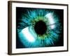 Eye-PASIEKA-Framed Photographic Print