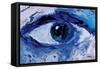 Eye-Rabi Khan-Framed Stretched Canvas