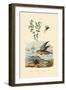 Eyebright, 1833-39-null-Framed Premium Giclee Print