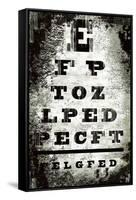 Eyechart-Tracy Hiner-Framed Stretched Canvas