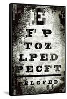 Eyechart-Tracy Hiner-Framed Stretched Canvas