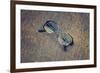 Eyeglasses Laying on a Grungy Wooden Background with Retro Filter Effect-Diplomedia-Framed Photographic Print