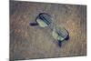 Eyeglasses Laying on a Grungy Wooden Background with Retro Filter Effect-Diplomedia-Mounted Photographic Print