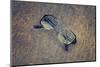 Eyeglasses Laying on a Grungy Wooden Background with Retro Filter Effect-Diplomedia-Mounted Photographic Print