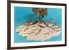 Eyeglasses on Simulated Desert Island-null-Framed Premium Giclee Print