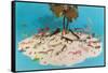 Eyeglasses on Simulated Desert Island-null-Framed Stretched Canvas