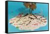 Eyeglasses on Simulated Desert Island-null-Framed Stretched Canvas