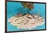 Eyeglasses on Simulated Desert Island-null-Framed Art Print