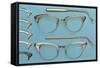 Eyeglasses-null-Framed Stretched Canvas