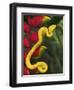 Eyelash Viper Snake on Heliconia Flower-Papilio-Framed Photographic Print