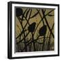 Eyes in the Bloom I-Kelsey Hochstatter-Framed Art Print