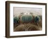 Eyes of a Black Widow-Jim Zuckerman-Framed Photographic Print