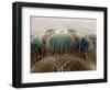 Eyes of a Black Widow-Jim Zuckerman-Framed Photographic Print