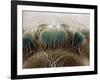 Eyes of a Black Widow-Jim Zuckerman-Framed Photographic Print