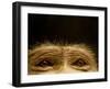 Eyes of Chacma Baboon-Henry Horenstein-Framed Premium Photographic Print