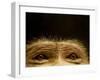 Eyes of Chacma Baboon-Henry Horenstein-Framed Premium Photographic Print