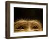 Eyes of Chacma Baboon-Henry Horenstein-Framed Photographic Print