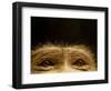 Eyes of Chacma Baboon-Henry Horenstein-Framed Photographic Print