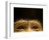 Eyes of Chacma Baboon-Henry Horenstein-Framed Photographic Print