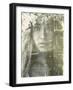 Eyes of Light-Design Fabrikken-Framed Photographic Print