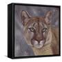 Eyes on the Prize-Karie-Ann Cooper-Framed Stretched Canvas