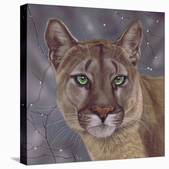 Eyes on the Prize-Karie-Ann Cooper-Stretched Canvas