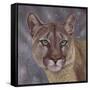 Eyes on the Prize-Karie-Ann Cooper-Framed Stretched Canvas