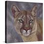 Eyes on the Prize-Karie-Ann Cooper-Stretched Canvas