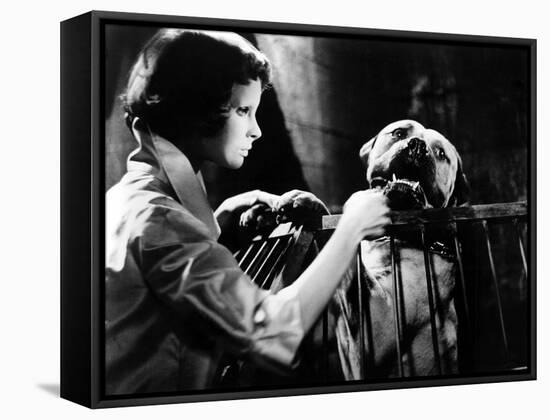 Eyes Without A Face, (aka Les Yeux Sans Visage), Edith Scob, 1960-null-Framed Stretched Canvas