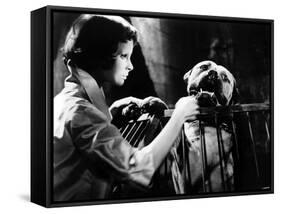 Eyes Without A Face, (aka Les Yeux Sans Visage), Edith Scob, 1960-null-Framed Stretched Canvas