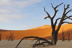 Desert Landscape, Sossusvlei, Namibia, Southern Africa-Eyesee10-Framed Stretched Canvas