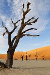 Desert Landscape, Sossusvlei, Namibia, Southern Africa-Eyesee10-Photographic Print