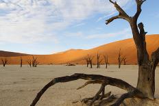 Desert Landscape, Sossusvlei, Namibia, Southern Africa-Eyesee10-Mounted Photographic Print