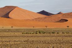 Desert Landscape, Sossusvlei, Namibia, Southern Africa-Eyesee10-Framed Stretched Canvas