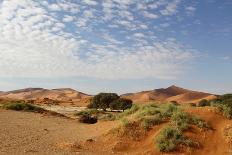 Desert Landscape, Sossusvlei, Namibia, Southern Africa-Eyesee10-Stretched Canvas